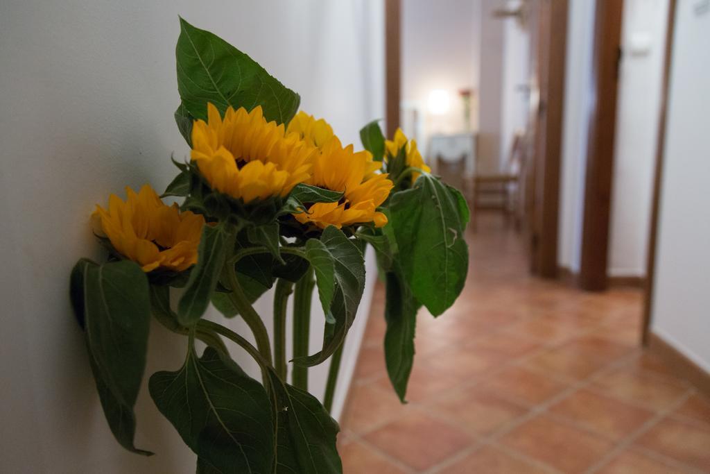 Casa Rural Migolla Osuna Exteriér fotografie